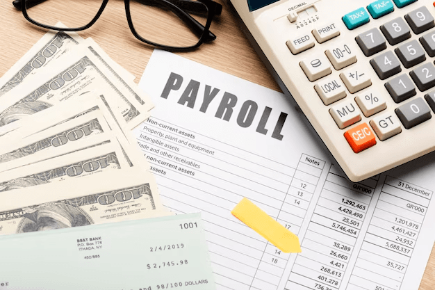 Digital Payslips